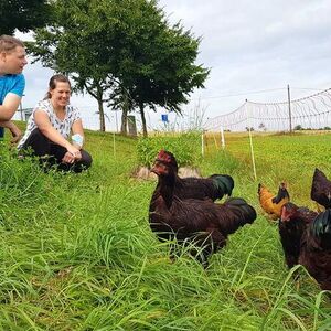 Eine Frau und ein Mann hocken auf einer Wiese vor einer Gruppe von Hühnern