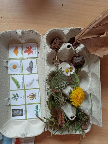 Eierkarton gefüllt mit Gräsern und Blumen
